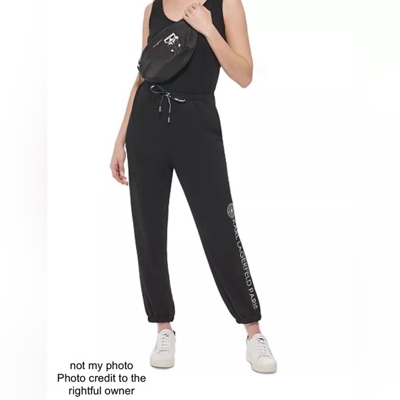 🌻NWT KARL LAGERFELD PARIS amour belt bag - Picture 3 of 12